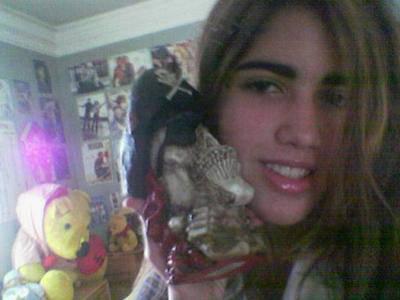 et c NaRjIsS qui arrive une autre fois ======LoL=====